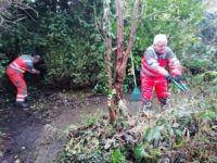 Pat and PJ clear undergrowth that needed cut back